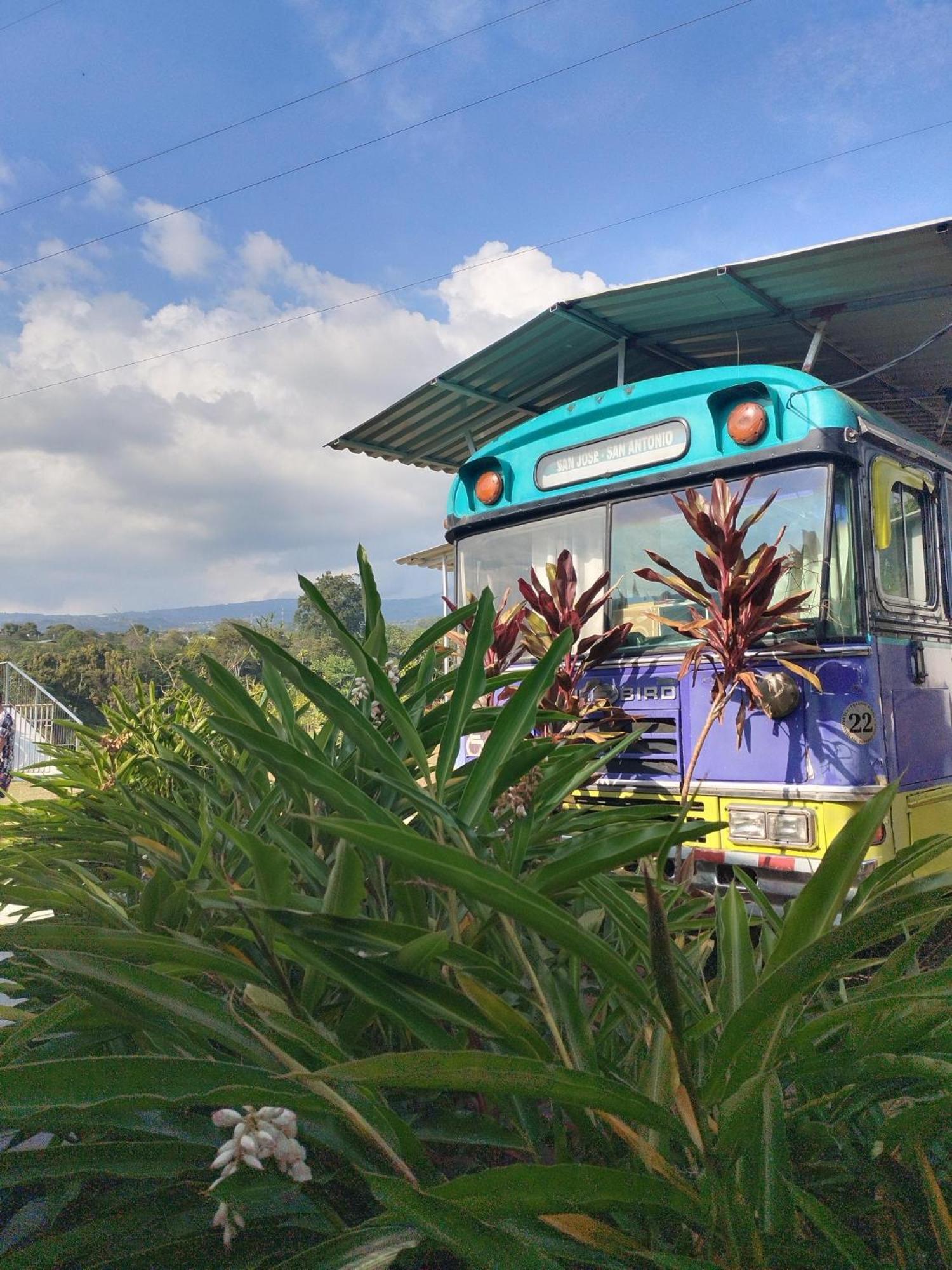 Sarchí Dreamcatcher House Bus Experience 2 מראה חיצוני תמונה